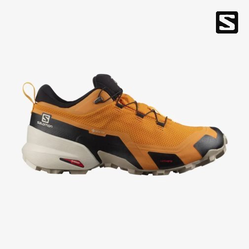 Salomon Cross Hike GTX Turisticke Topanky Panske Mango | SK 5YRXJN